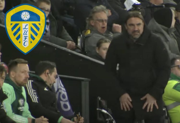 Daniel Farke Leeds United