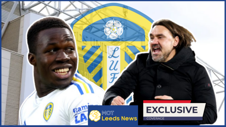 Willy Gnonto Daniel Farke Elland Road Leeds United exclusive