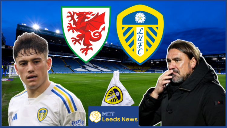 Daniel Farke and Dan James at Leeds United