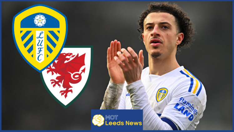 Leeds United crest, Wales crest, Ethan Ampadu