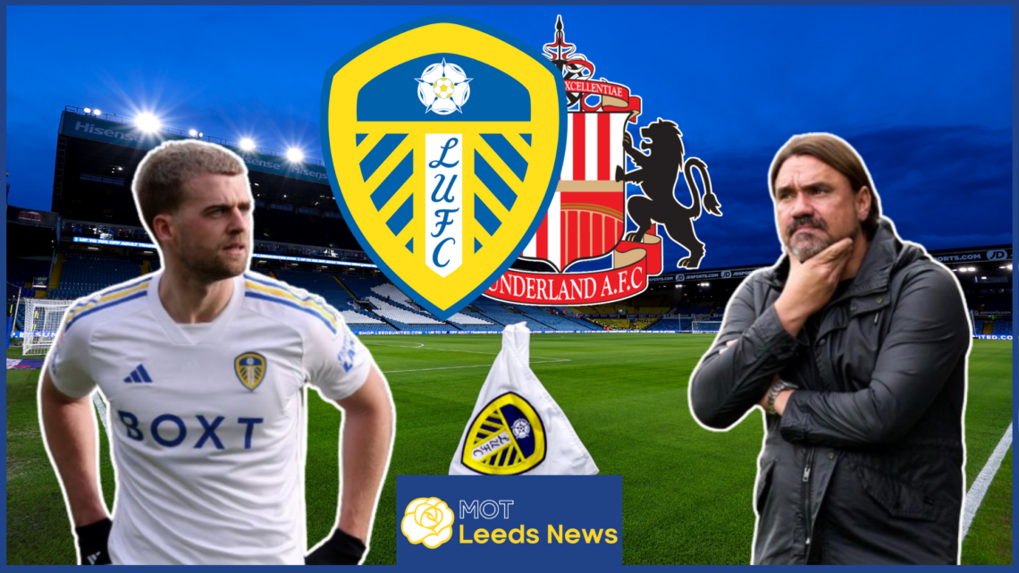 Patrick Bamford and Daniel Farke in Leeds United v Sunderland