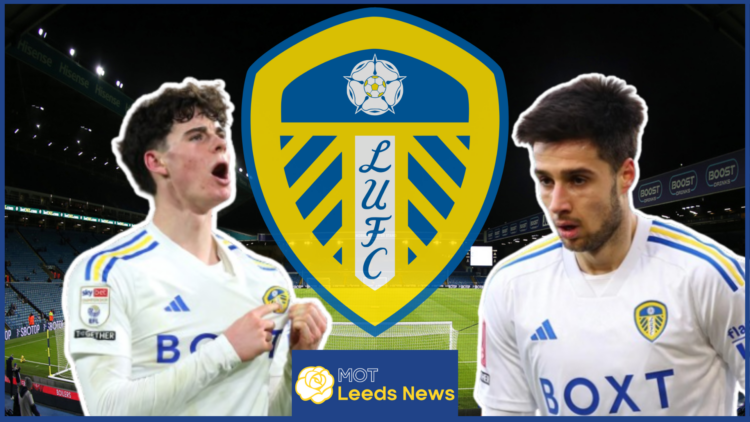 Leeds Gray Gruev