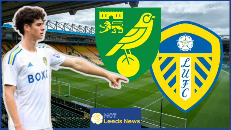 Archie Gray, Norwich City badge, Leeds United badge