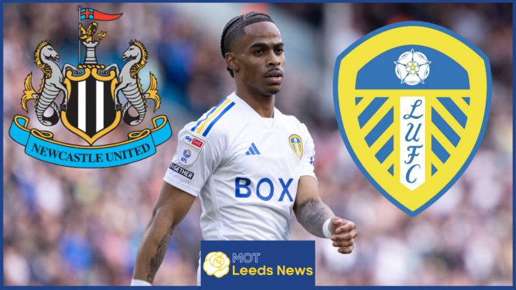 Crysencio Summerville, Leeds United, Newcastle