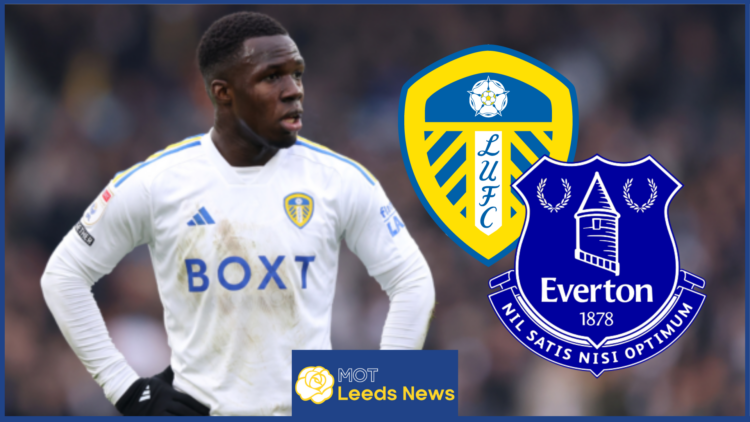 Willy Gnonto Leeds Everton