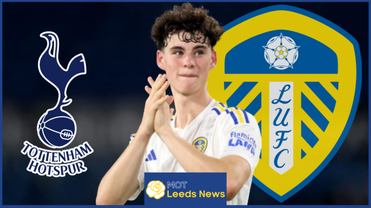 Leeds Tottenham Gray