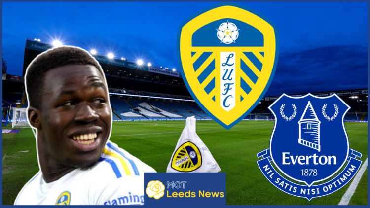 Wilfried Gnonto, Leeds United badge, Everton badge