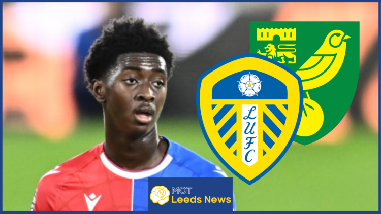 Jesurun Rak-Sakyi, Leeds United, Norwich City badge