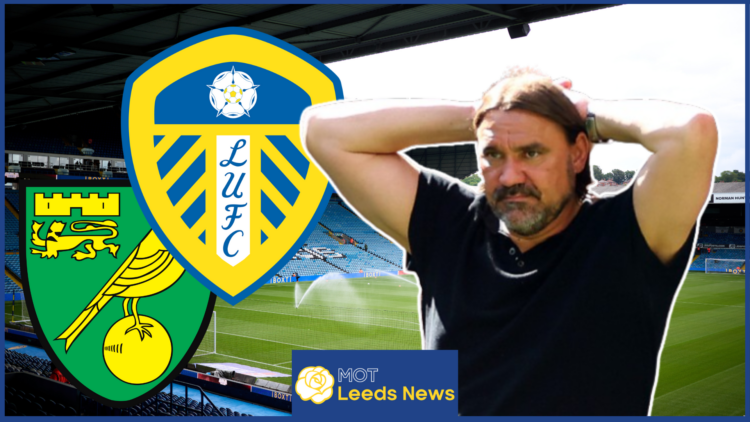 Daniel Farke, Leeds United badge, Norwich City badge