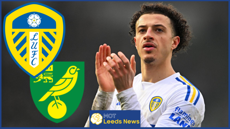 Ethan Ampadu, Leeds United badge, Norwich City badge