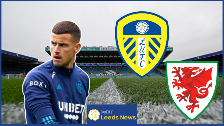 Karl Darlow, Leeds United badge, Wales badge