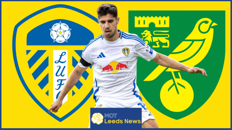 Leeds United Manor Solomon Norwich City