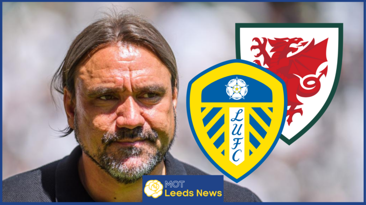 Daniel Farke Leeds United Wales badges