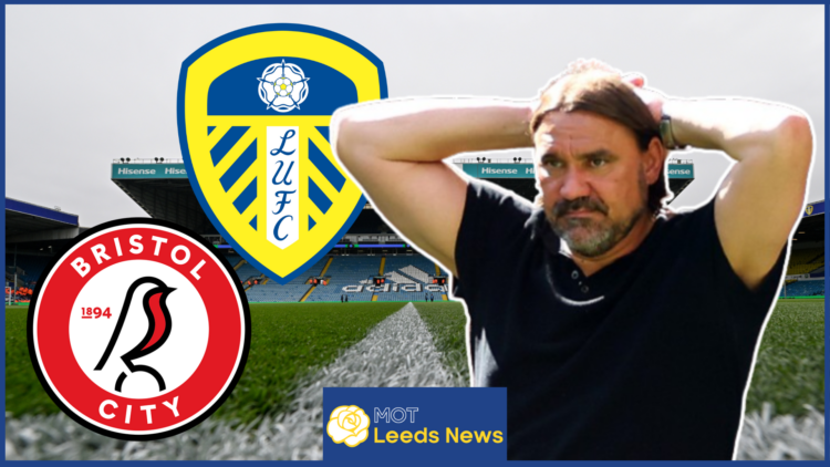 Daniel Farke, Leeds United badge, Bristol City badge