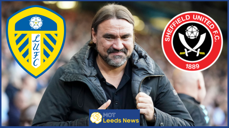 Daniel Farke, Leeds United badge, Sheffield United badge