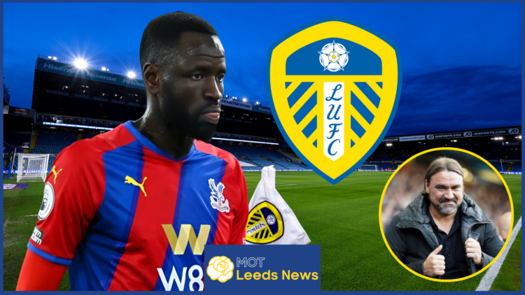 Leeds United Cheikhou Kouyate (1)