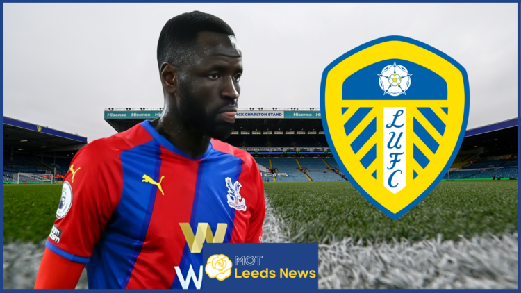 Leeds United Cheikhou Kouyate