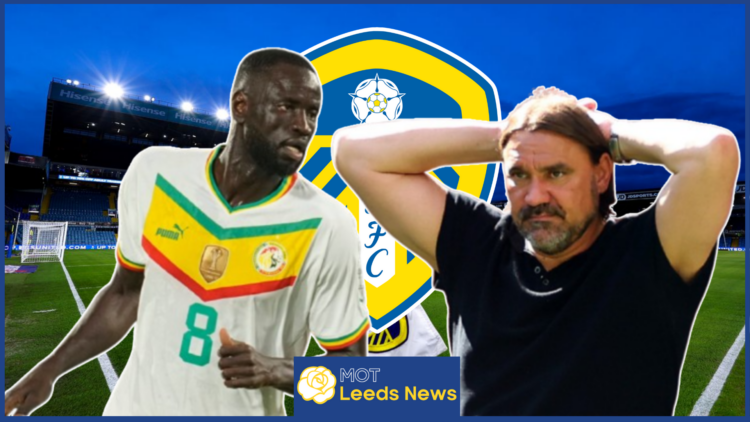 Leeds United Cheikhou Kouyate Daniel Farke