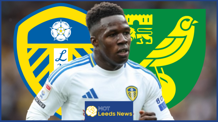 Leeds United Norwich City Gnonto
