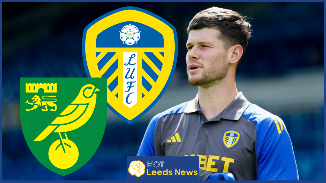 Leeds United Norwich City Illan Meslier