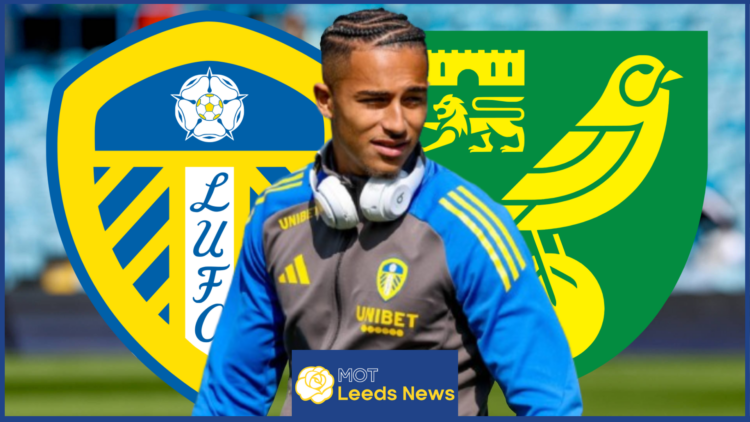 Leeds United Norwich City Joseph