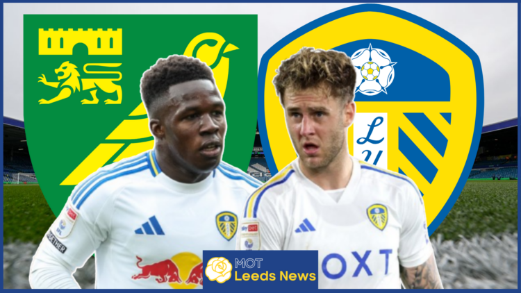Leeds United Norwich City Willy Gnonto Joe Rodon