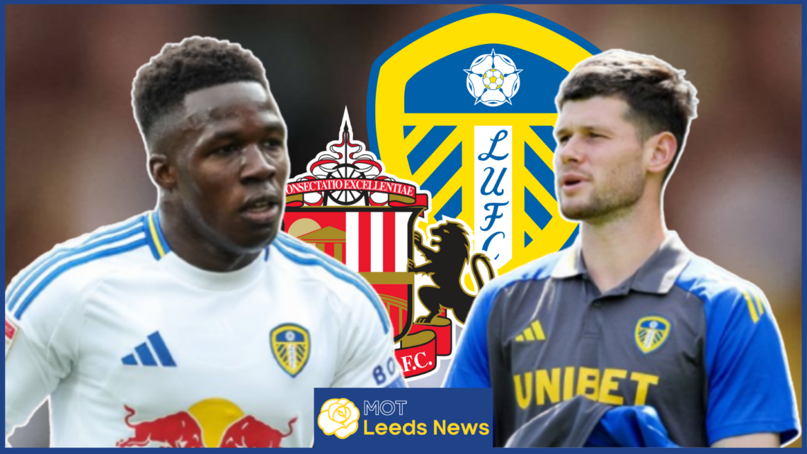 Leeds United Sunderland Willy Gnonto Illan Meslier