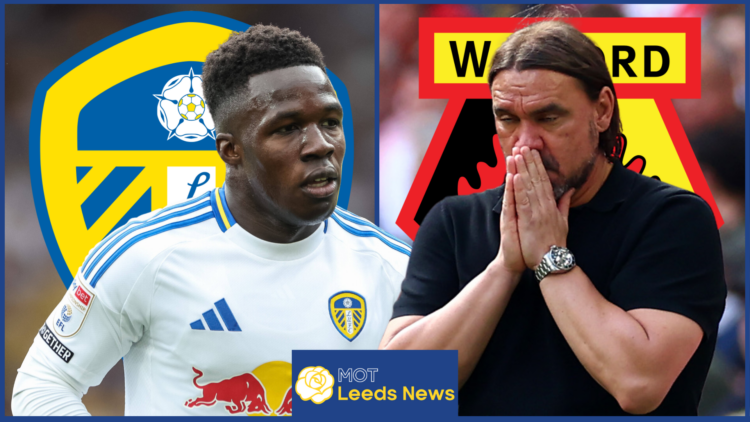 Leeds United Watford Gnonto Farke