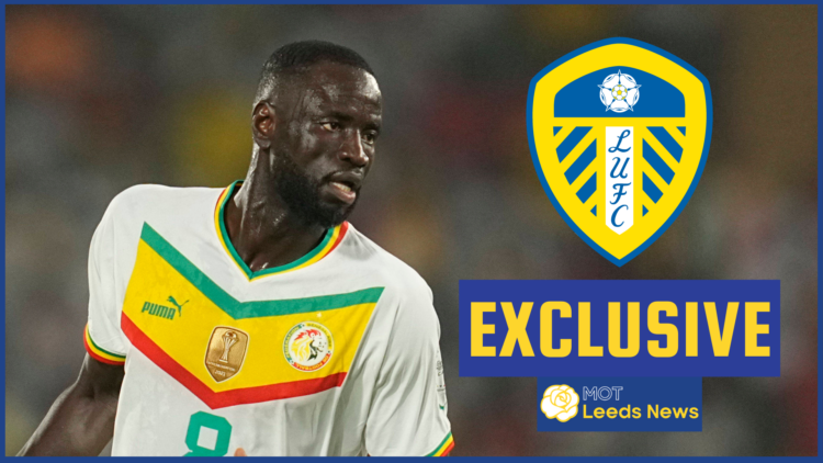 Leeds United badge, Cheikhou Kouyate