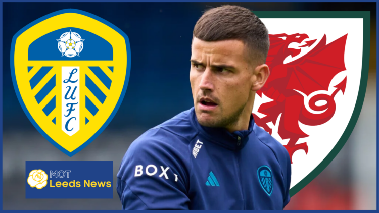 Leeds United Wales Darlow
