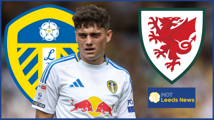 Leeds United Wales James