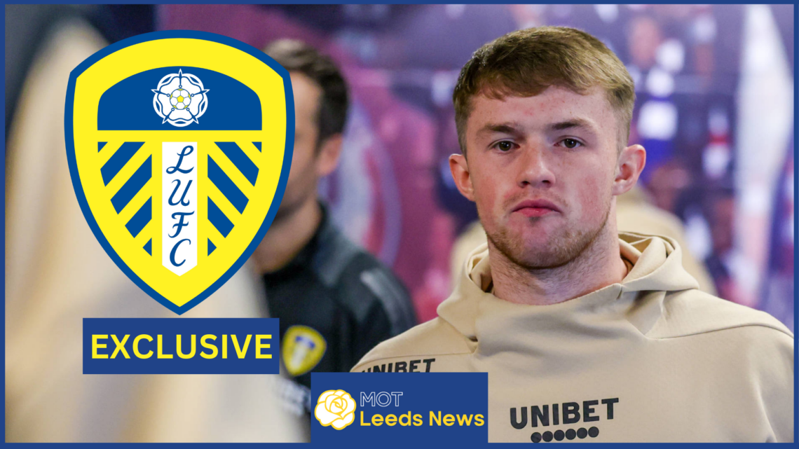 Joe Gelhardt, Leeds United striker