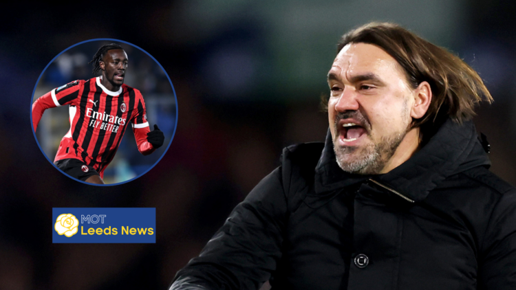 Daniel Farke, Tammy Abraham