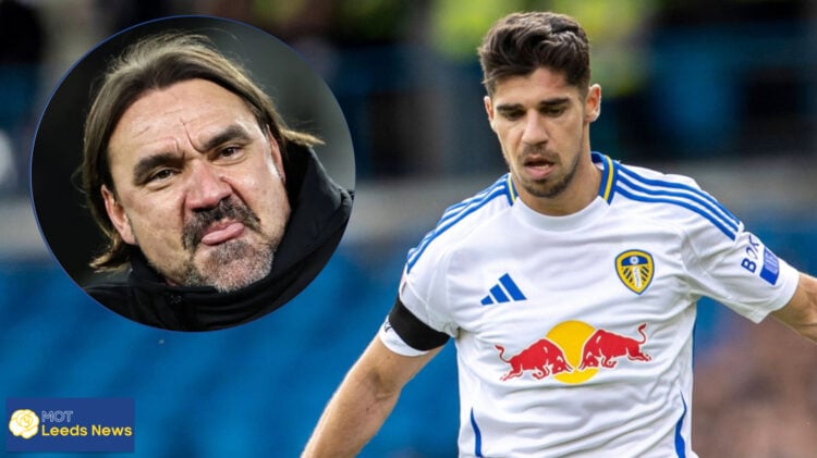 Leeds United, Daniel Farke, Manor Solomon