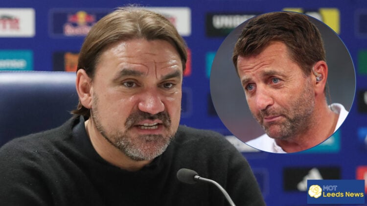 Leeds United, Daniel Farke, Tim Sherwood