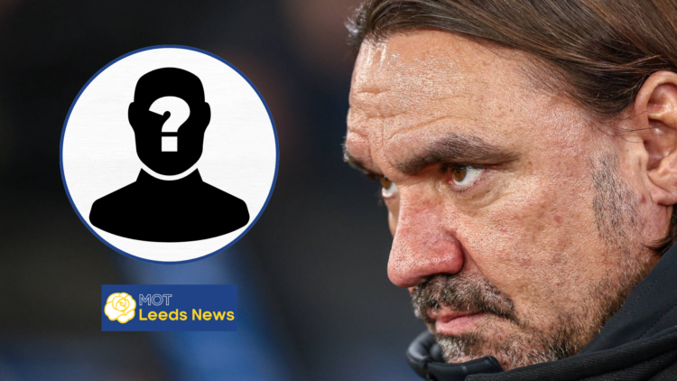 Leeds United, Daniel Farke