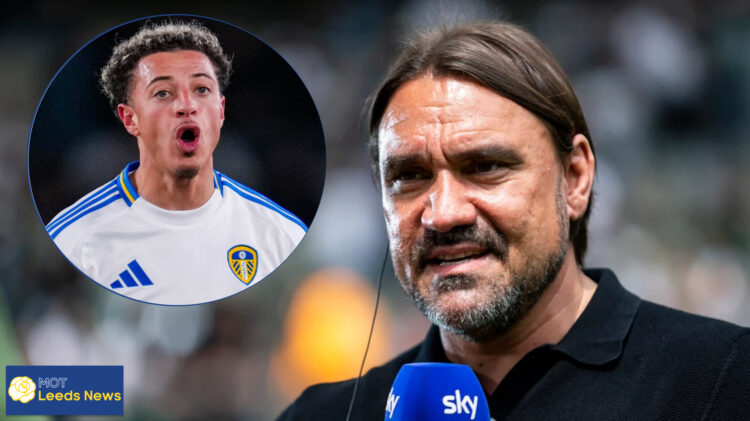 Leeds United Ethan Ampadu Daniel Farke