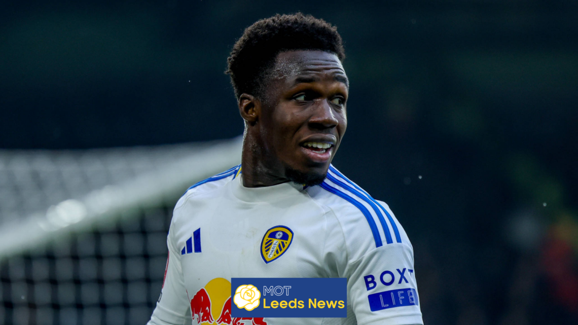 Leeds United, Willy Gnonto