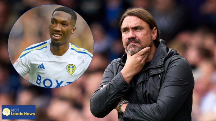 Leeds United manager Daniel Farke