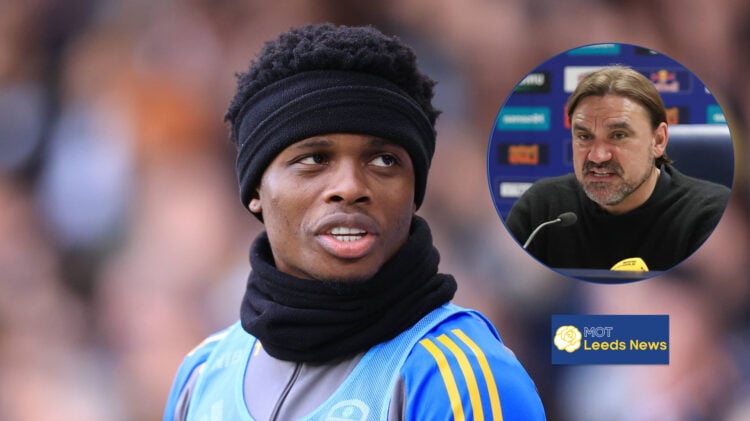 Daniel Farke, Largie Ramazani, Leeds United, West Brom, Championship