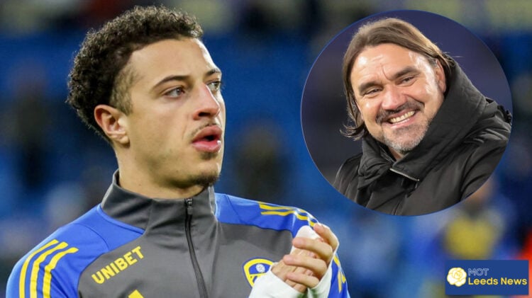 Daniel Farke, Ethan Ampadu