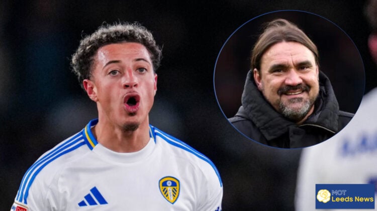 Ampadu, Farke
