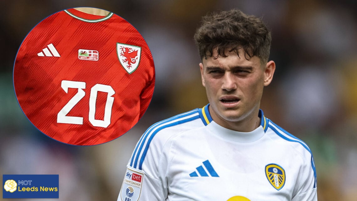 Daniel James Wales Leeds United