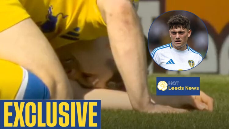 Leeds United, Dan James