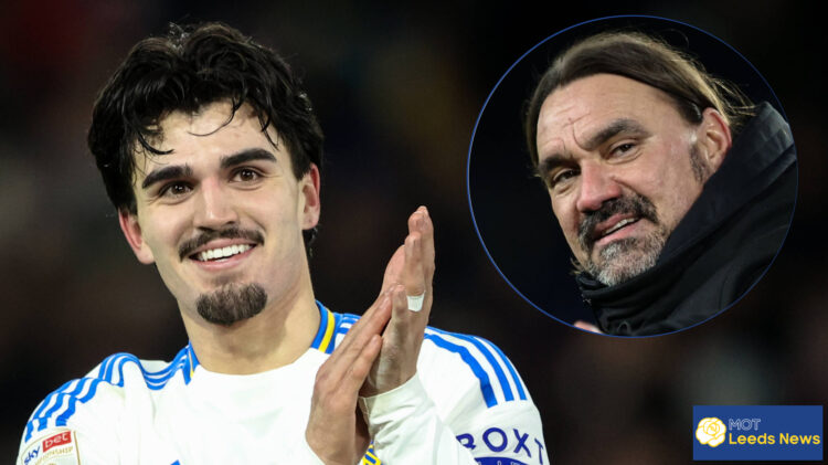 Pascal Struijk, Daniel Farke