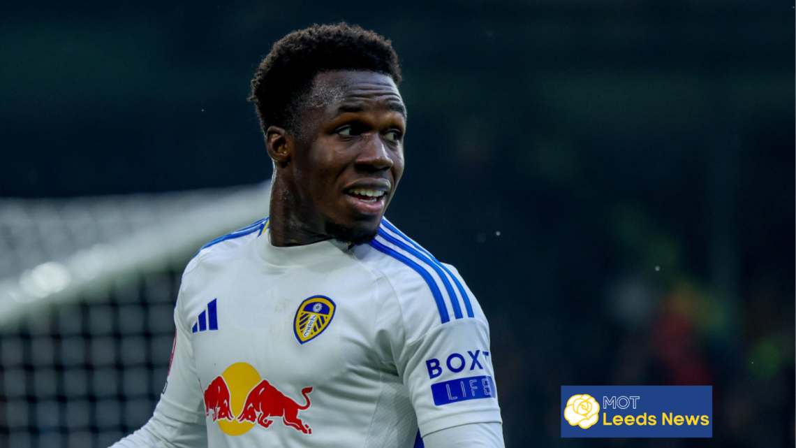 Leeds United Willy Gnonto