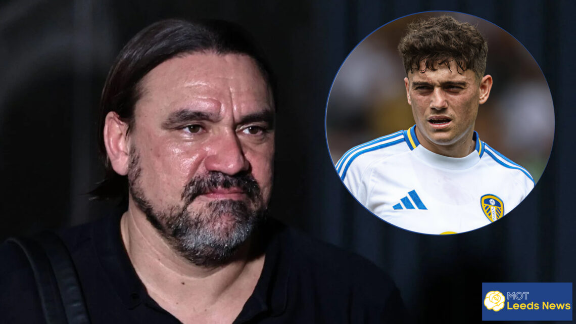 Daniel James, Daniel Farke