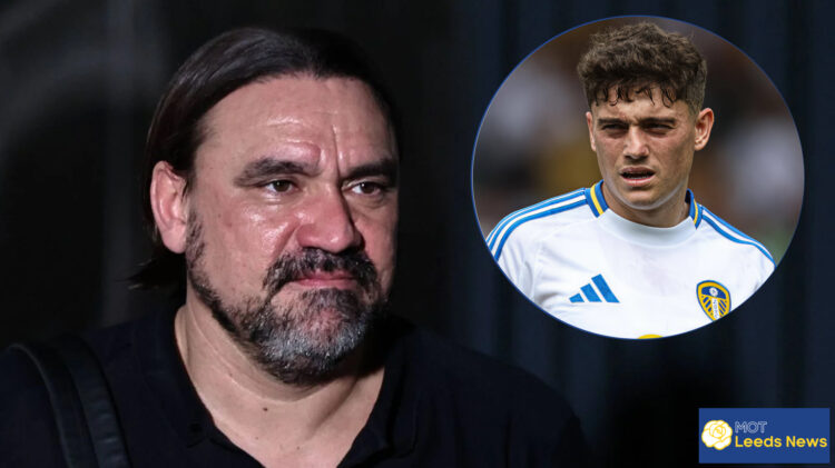 Daniel James, Daniel Farke