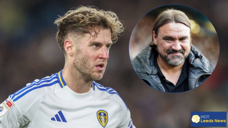 Joe Rodon, Daniel Farke