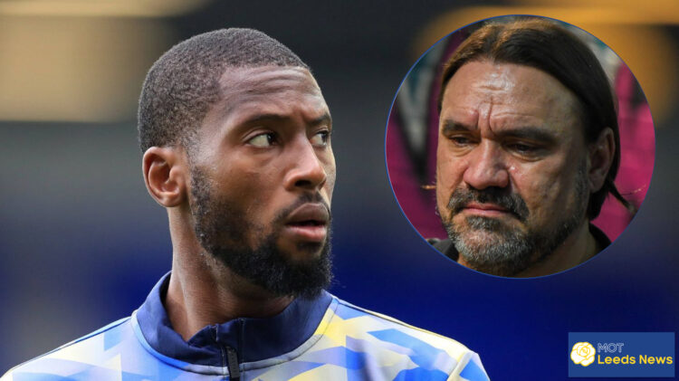 Leeds United manager Daniel Farke and Everton striker Beto